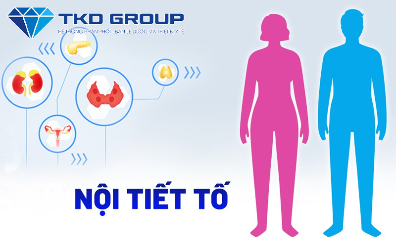 thay-doi-noi-tiet-to-gay-rung-toc