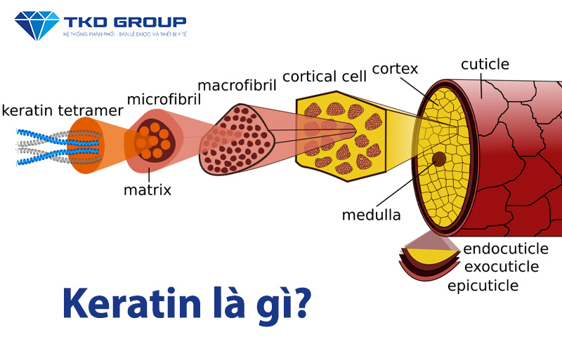 Keratin-la-gi