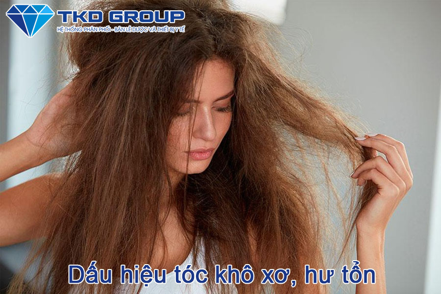 dấu hiệu tóc khô xơ, hư tổn